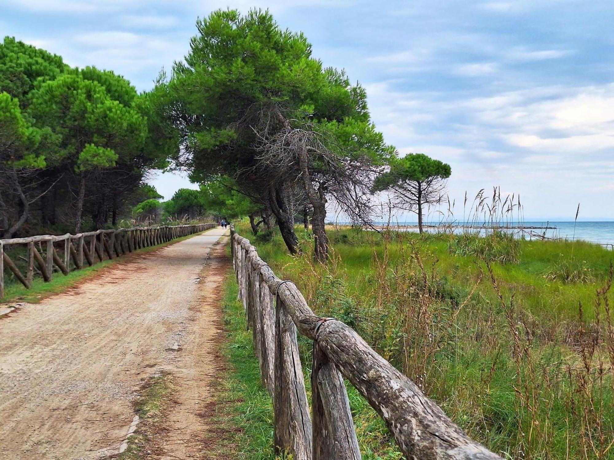 Amazing With Terrace For 5 Guests Apartment Bibione